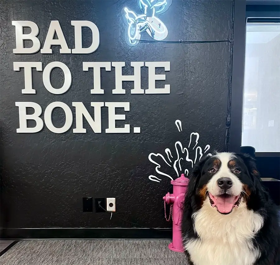 Clear Digital office interior with dogs and bad to the bone sign.
