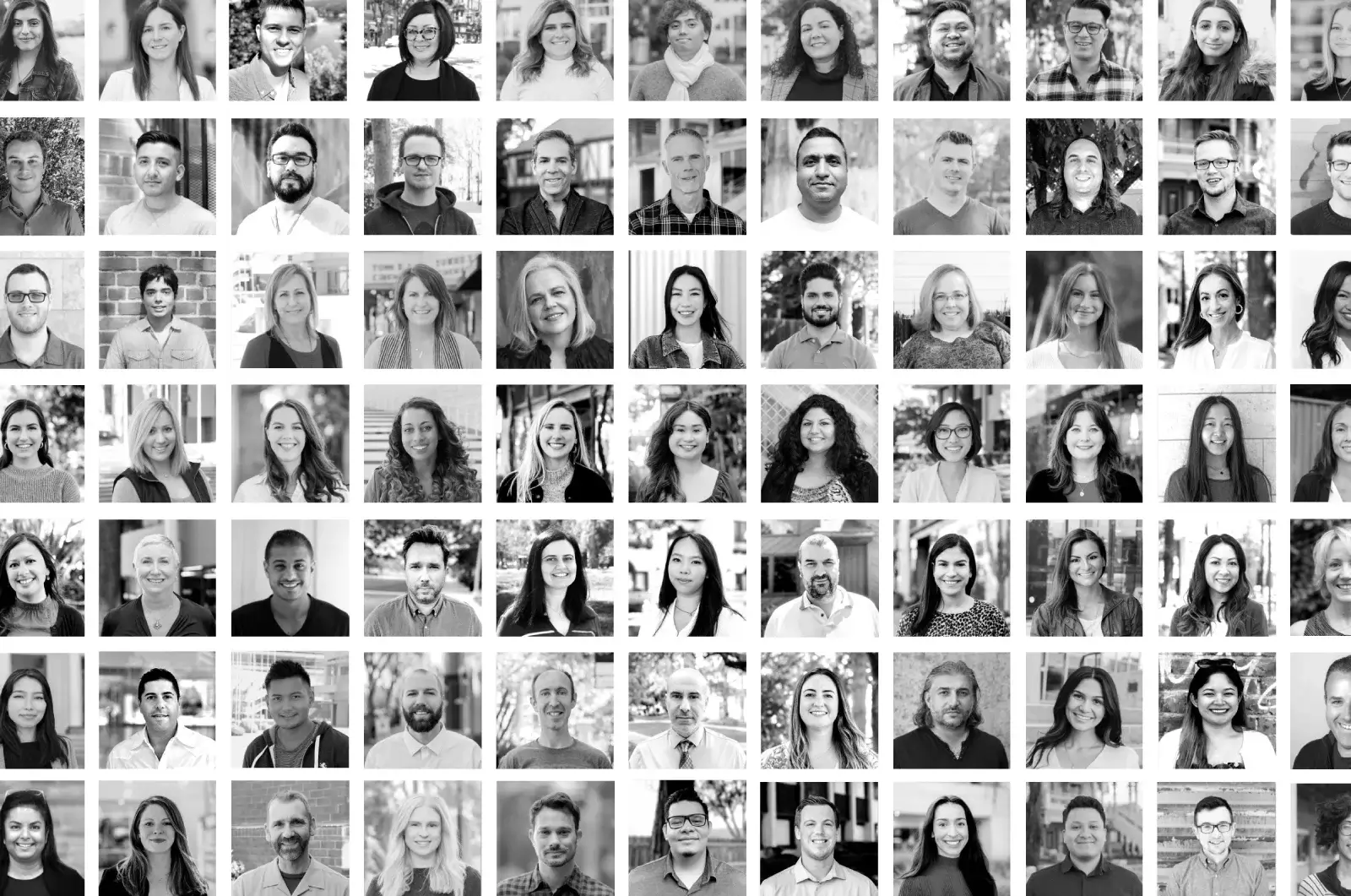 Clear Digital History Banner Image