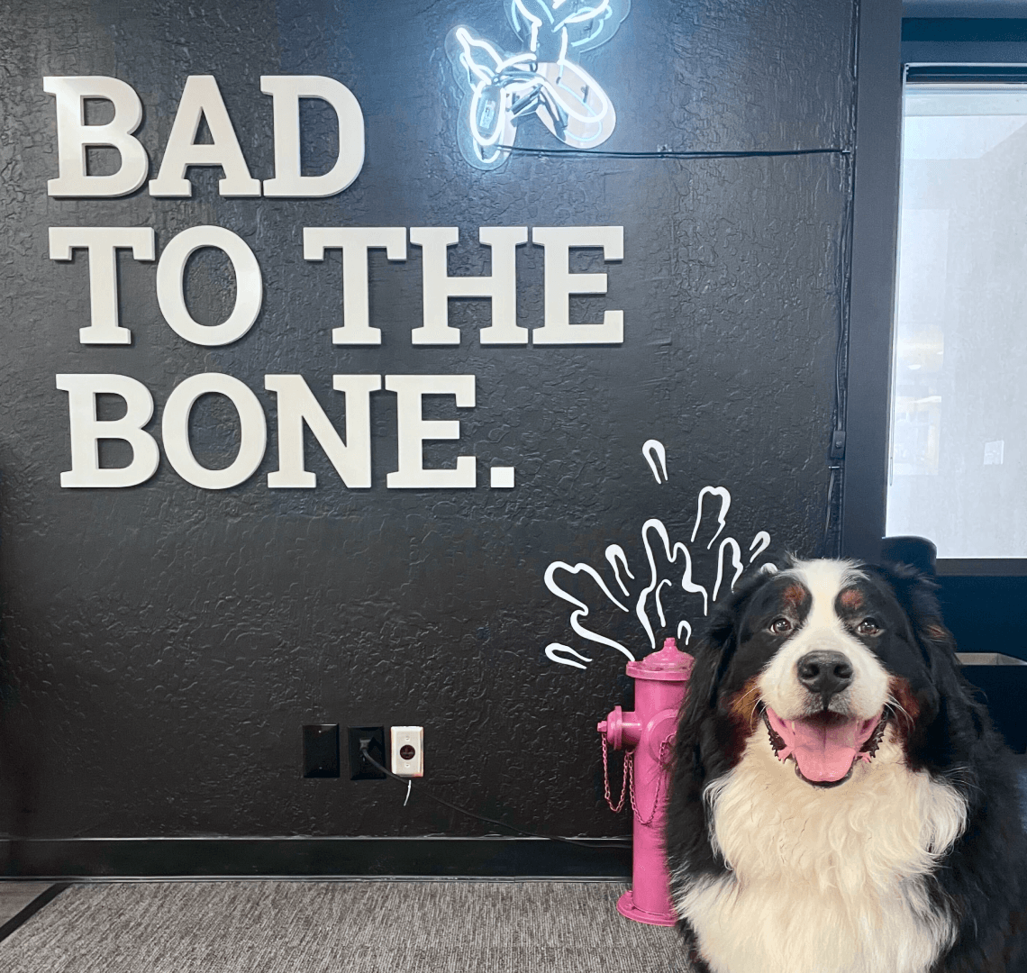 bad_to_the_bone_dog